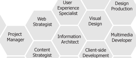 user experience roles